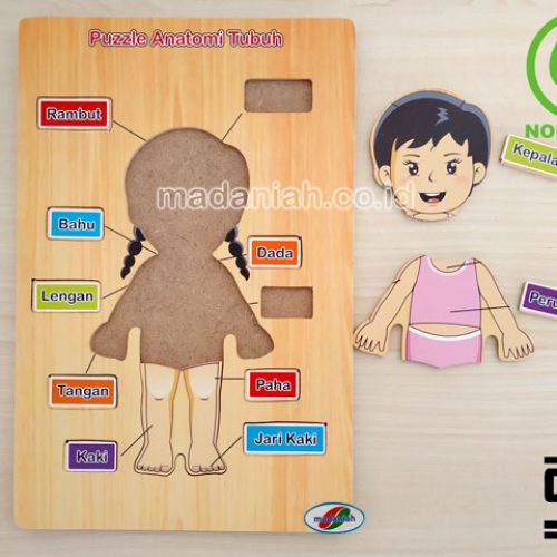 Distributor Puzzle Kayu Anatomi Tubuh Yogyakarta