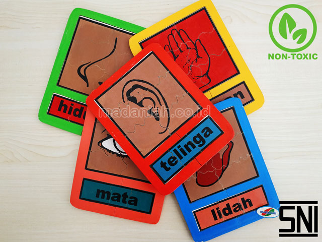 Distributor Puzzle Kayu Panca Indra Kalimantan Timur