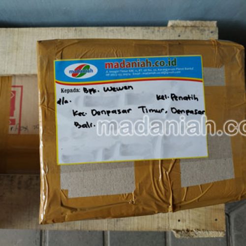 Toko Alat Peraga Edukatif Penatih Denpasar Toko Alat Peraga Edukatif Penatih Denpasar