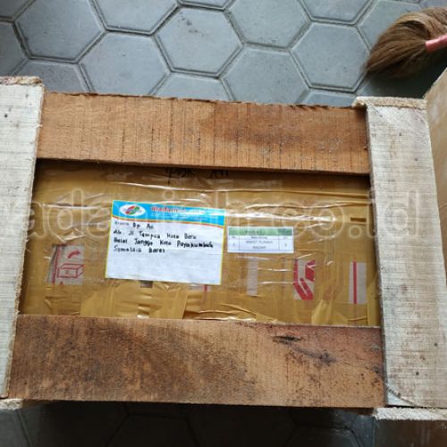 Pengiriman Alat Peraga Edukatif Kota Payakumbuh
