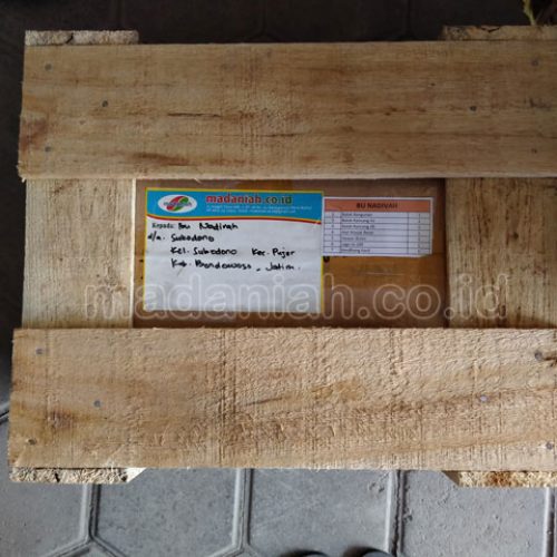 Toko Alat Peraga Edukatif Bondowoso