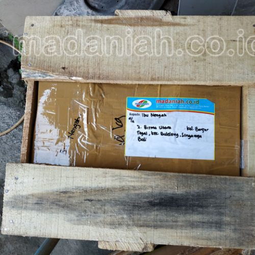 Toko Alat Peraga Edukatif Buleleng