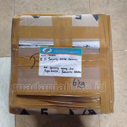 Toko Alat Peraga Edukatif Jagakarsa Jakarta Selatan