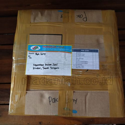Toko Alat Peraga Edukatif Kudus Jawa Tengah