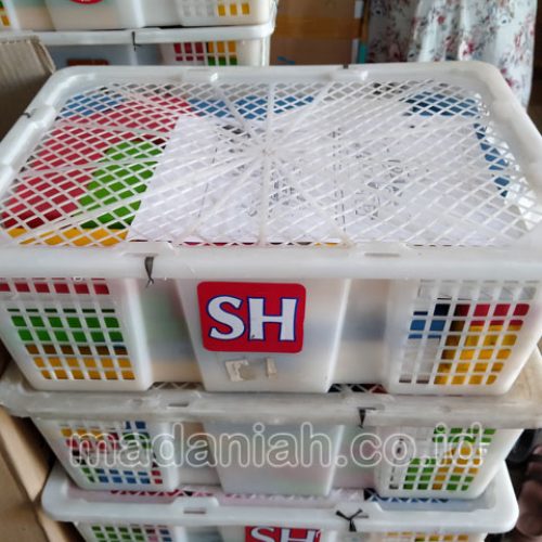 Toko Alat Peraga Edukatif Sidomulyo Lampung