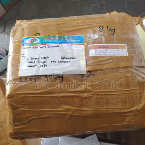 Toko Alat Peraga Edukatif Stabat Langkat