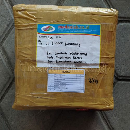 Toko Alat Peraga Edukatif Pasaman Barat Sumatera Barat