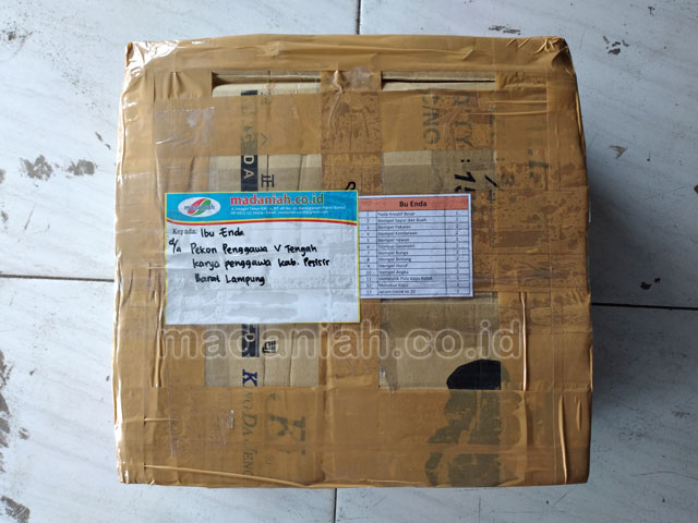 Toko Alat Peraga Edukatif Pesisir Barat Lampung