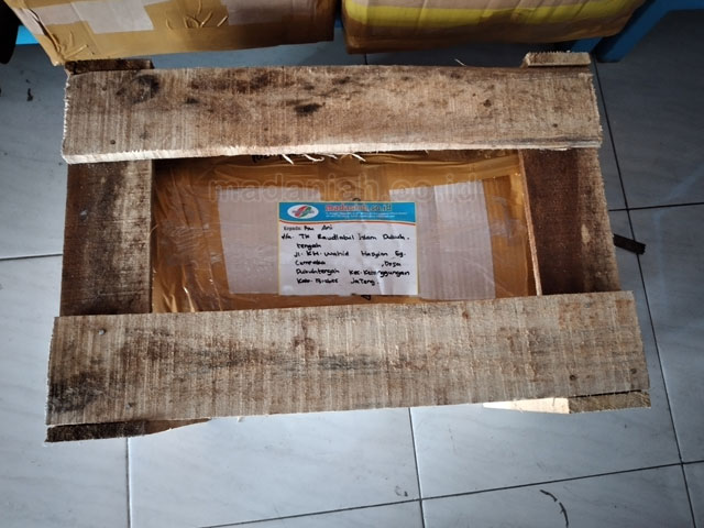 Toko Alat Peraga Edukatif Ketanggungan Brebes Toko Alat Peraga Edukatif Ketanggungan Brebes