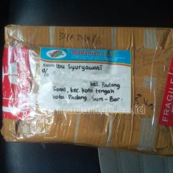 Toko Alat Peraga Edukatif Padang Sarai Padang Toko Alat Peraga Edukatif Padang Sarai Padang