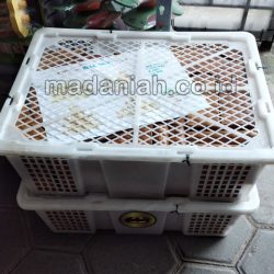 Toko Alat Peraga Edukatif Kutai Kertanegara
