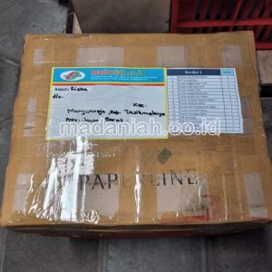 Toko Alat Peraga Edukatif Mangunreja Tasikmalaya Toko Alat Peraga Edukatif Mangunreja Tasikmalaya