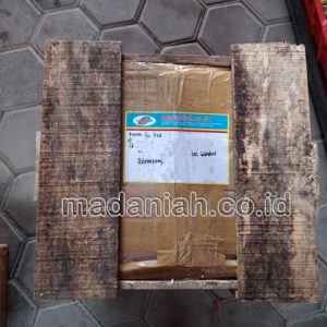 Toko Alat Peraga Edukatif Gandus Kota Palembang