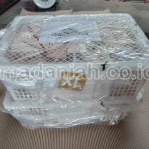 Toko Alat Peraga Edukatif Sumatera Utara