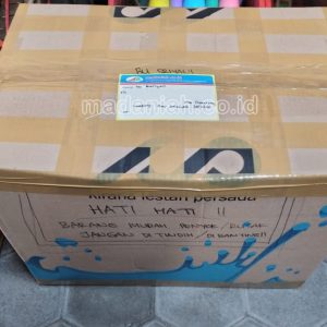 Toko Alat Peraga Edukatif Maritengngae Sidenreng Rappang Toko Alat Peraga Edukatif Maritengngae Sidenreng Rappang