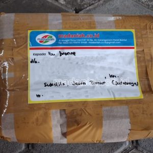 Toko Alat Peraga Edukatif Surabaya Jawa Timur