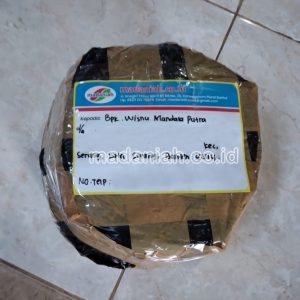 Toko Alat Peraga Edukatif Serang Toko Alat Peraga Edukatif Serang
