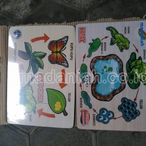 Toko Alat Peraga Edukatif Sawah Besar Toko Alat Peraga Edukatif Sawah Besar