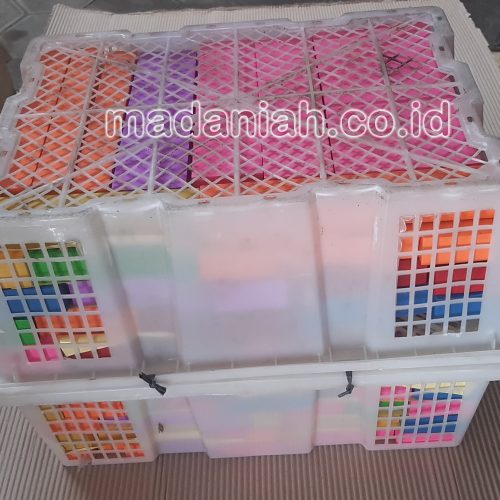 Toko Alat Peraga Edukatif Prasiaga Benteng
