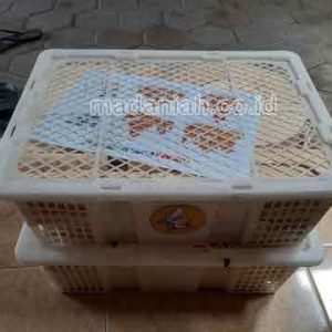 Toko Alat Peraga Edukatif Diwek Jombang Toko Alat Peraga Edukatif Diwek Jombang