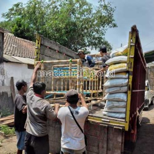 Produsen Mainan Ayunan Kereta Anak PAUD Bali