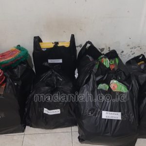 Toko Alat Peraga Edukatif Sentolo Toko Alat Peraga Edukatif Sentolo