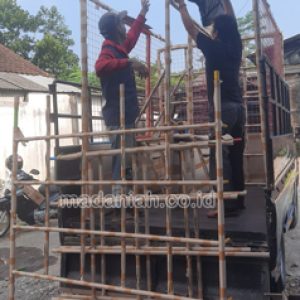 Jual Murah Mainan Panjat Tangga Majemuk Anak Krembangan