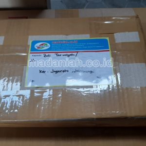 Toko Alat Peraga Edukatif Jogoroto Jombang Toko Alat Peraga Edukatif Jogoroto Jombang