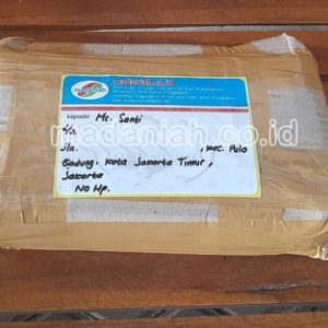 Toko Alat Peraga Edukatif Pulo Gadung