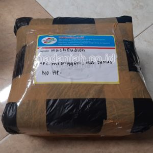 Toko Alat Peraga Edukatif Mranggen